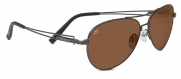 Serengeti 7885 Shiny Dark Gunmetal - Drivers Brando Aviator Sunglasses Driving