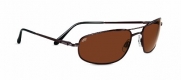 Serengeti Aviator Velocity Sunglasses, Espresso with D Polarized Lens