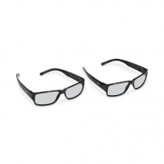 VIZIO XPG202 Theater 3D Eyewear ?(Pack of 2)